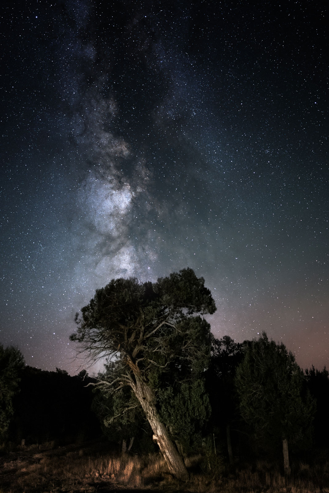 Photographer: Ian Lauer